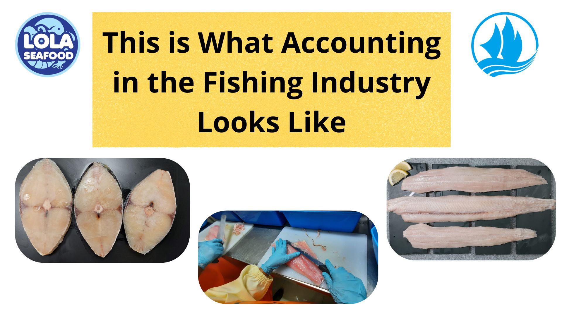  This is What Accounting in the Fishing Industry Looks Like